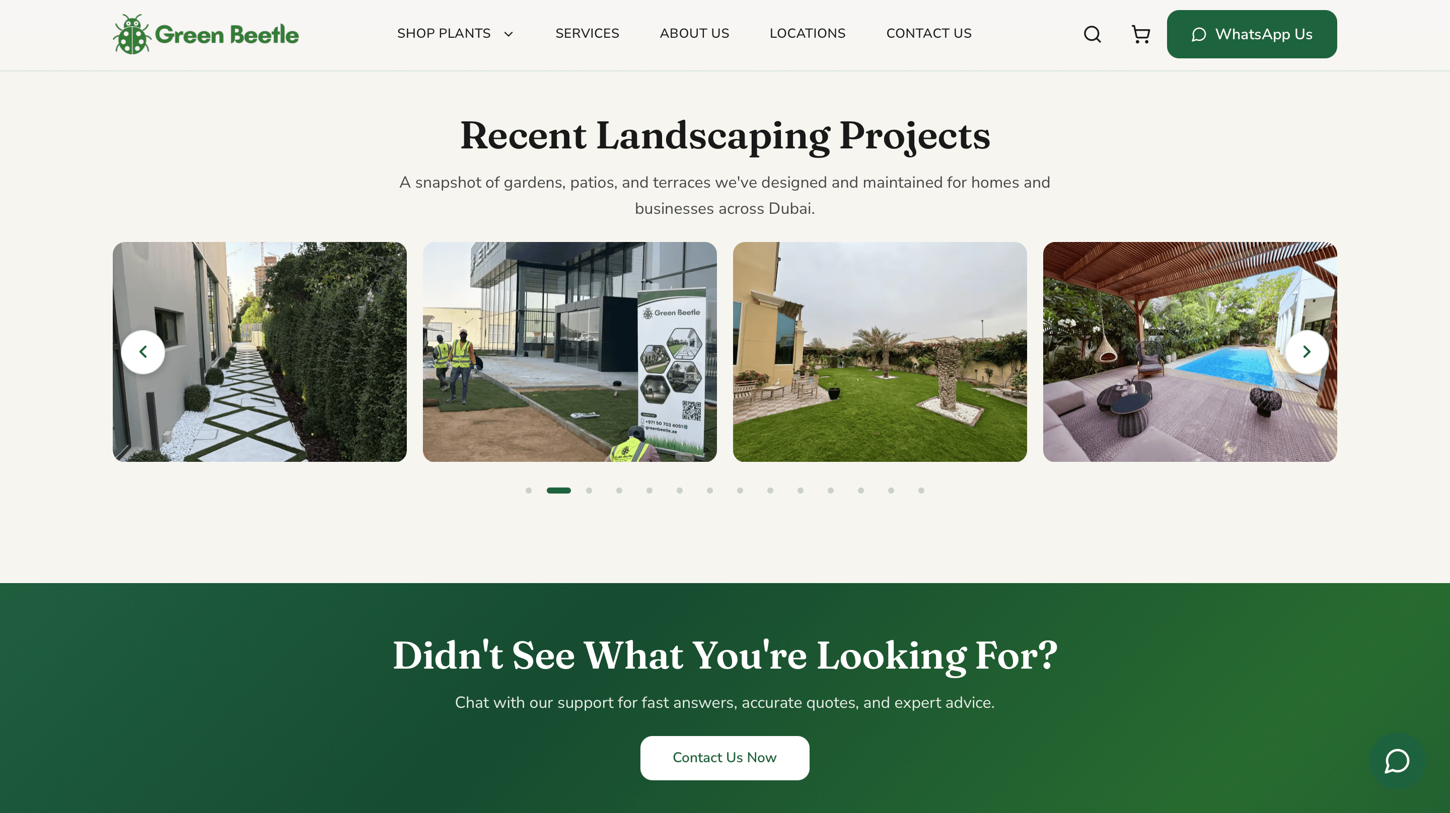 Green Beetle gallery image 1