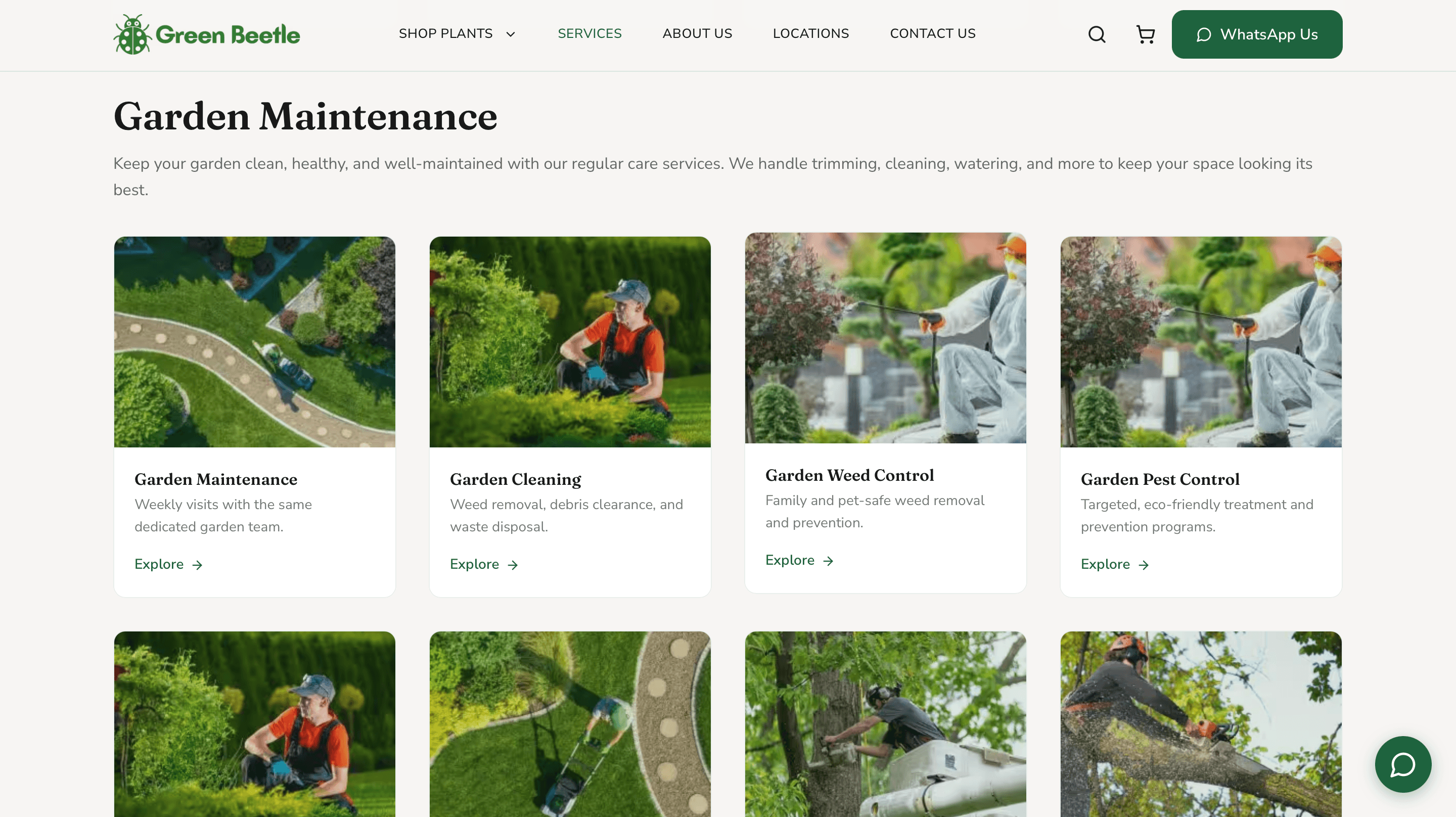 Green Beetle gallery image 3