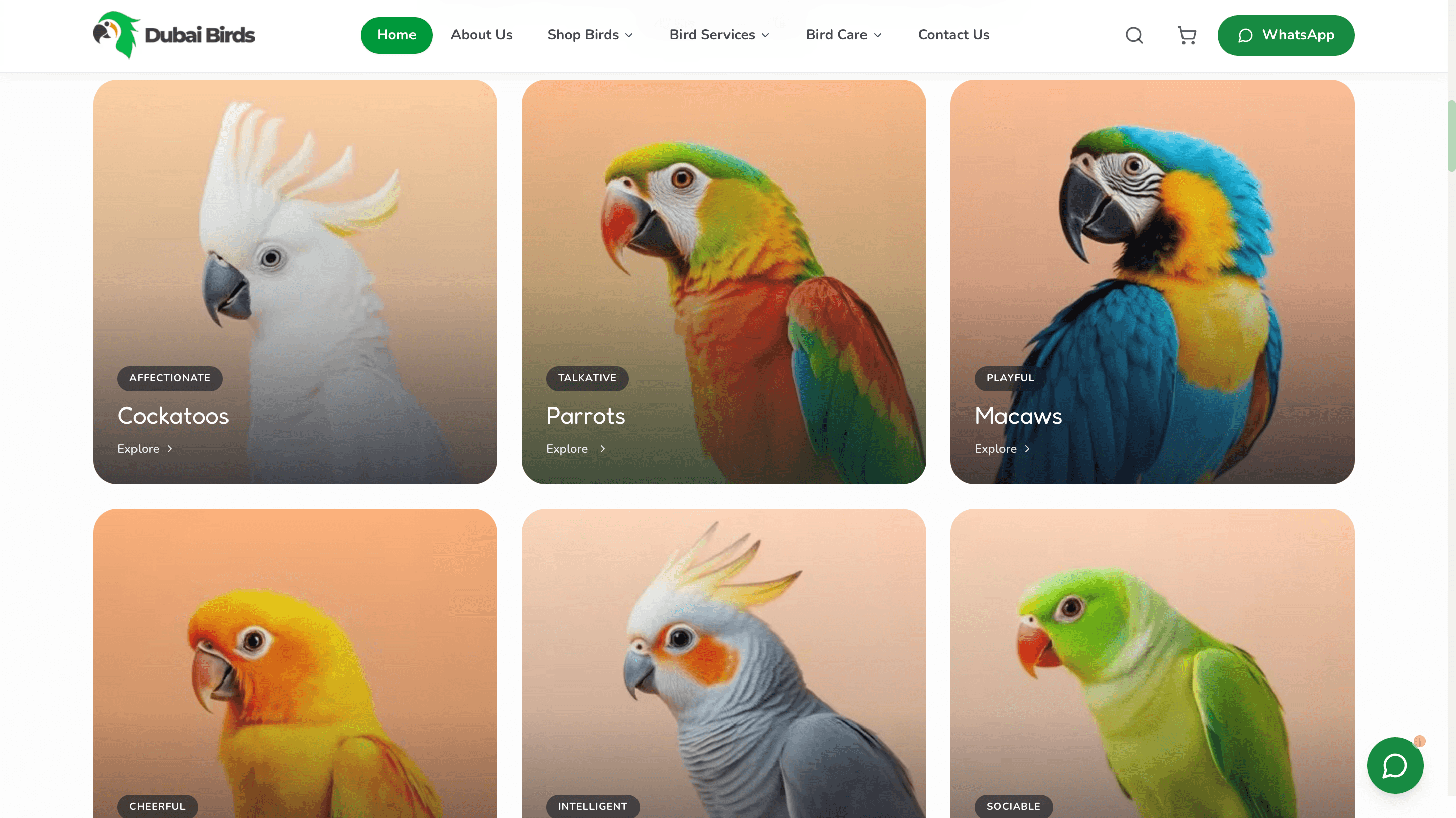 Dubai Birds desktop preview