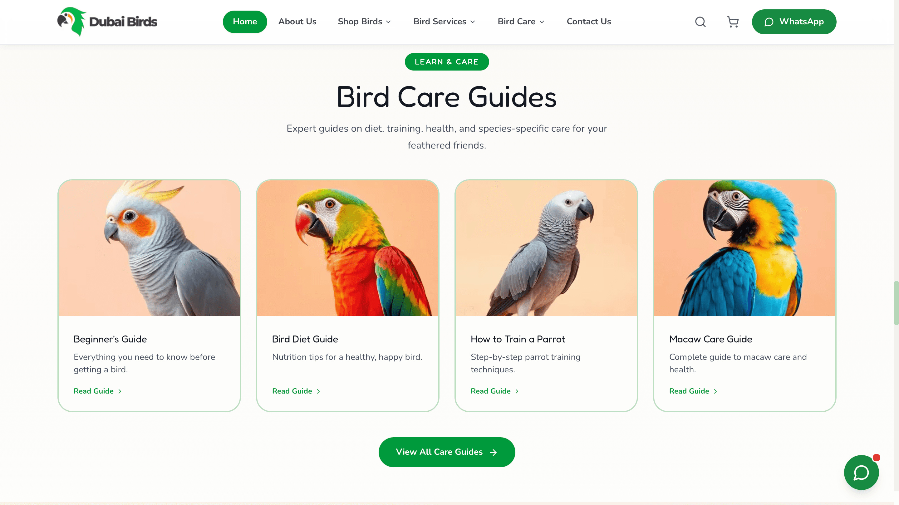 Dubai Birds gallery image 1