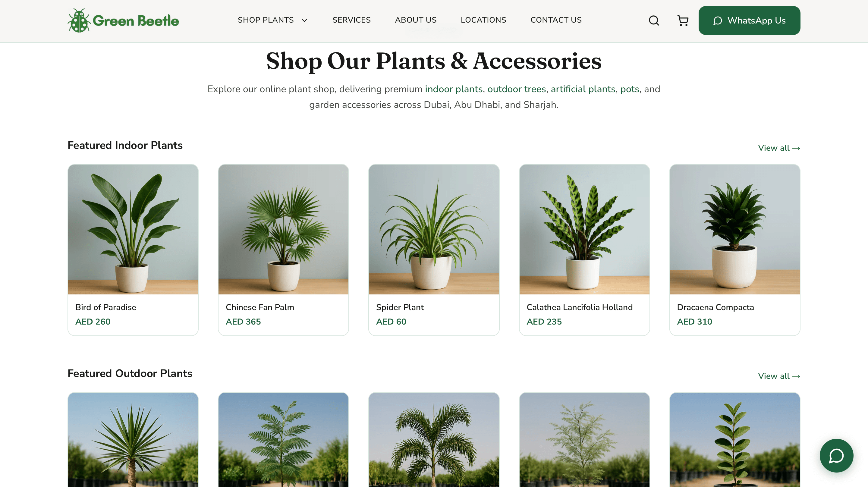 Green Beetle desktop preview