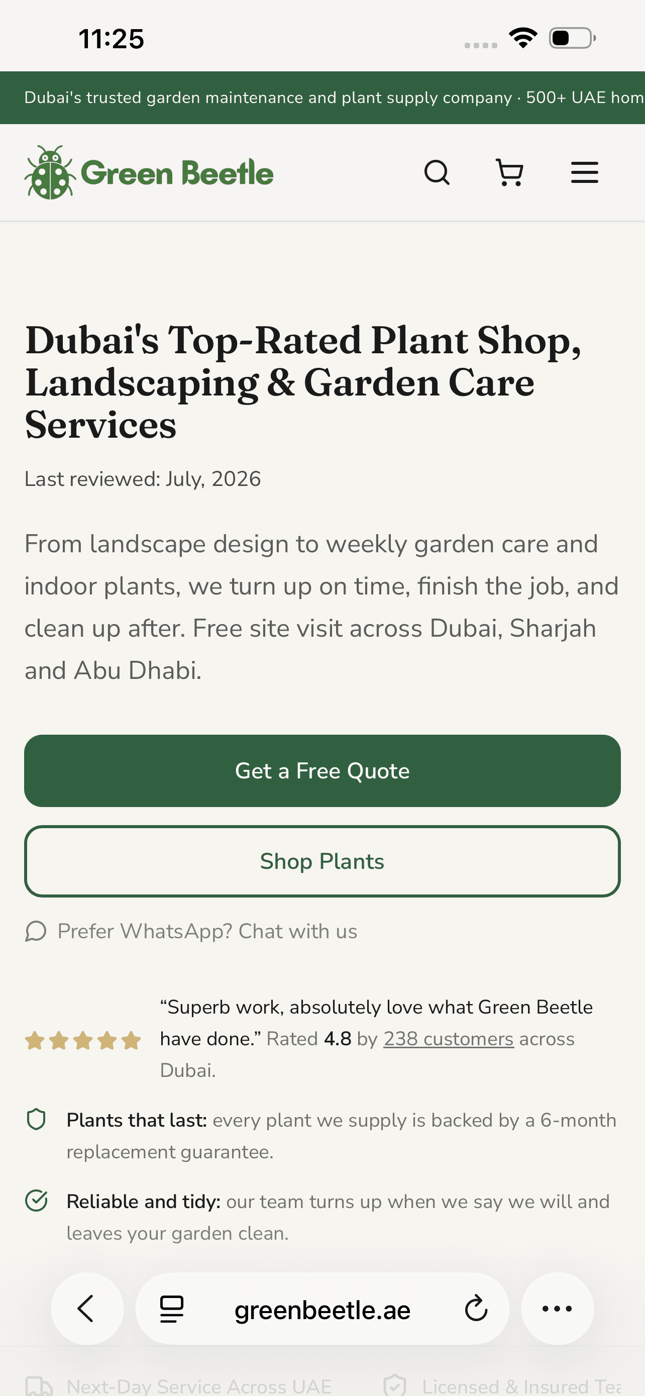 Green Beetle mobile preview